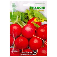Franchi Sementi  Burro Gigante Radish